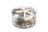green and pearl seashell pack